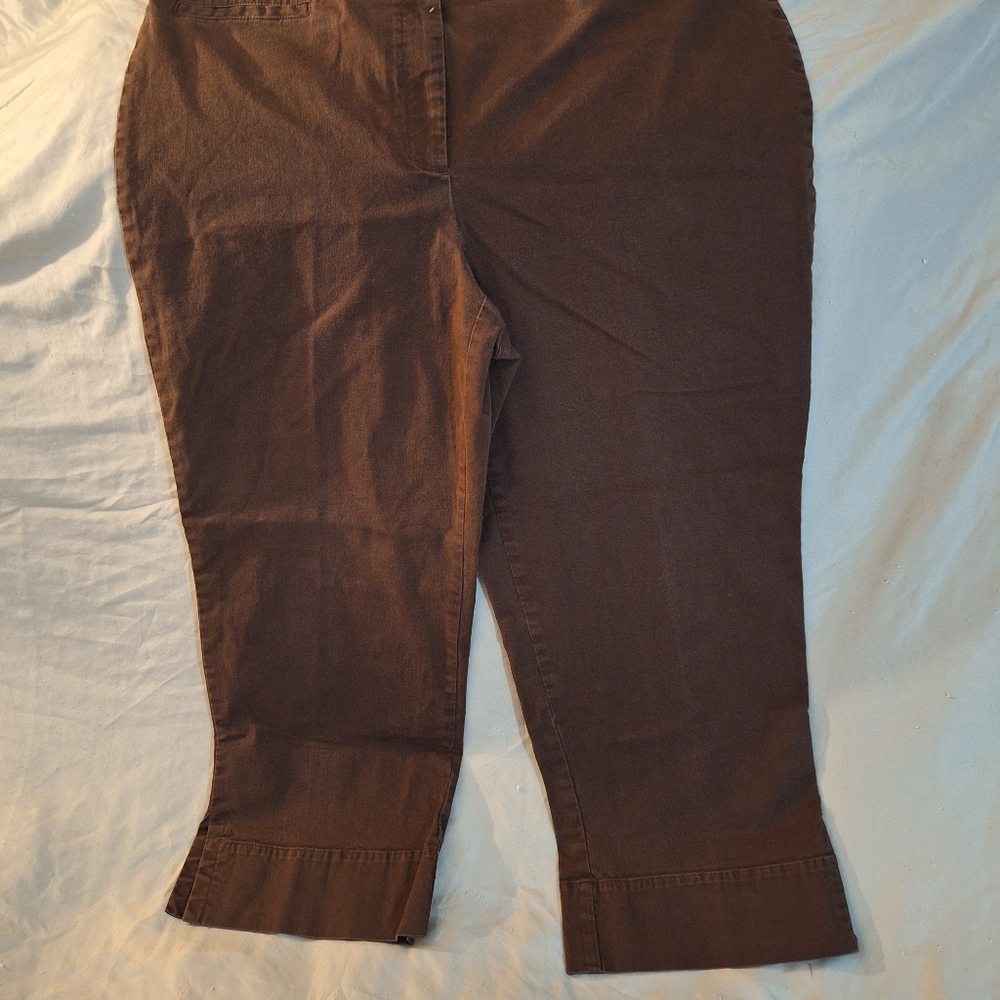 Brown Stretch Capris Size 16 by J.H. Collectibles